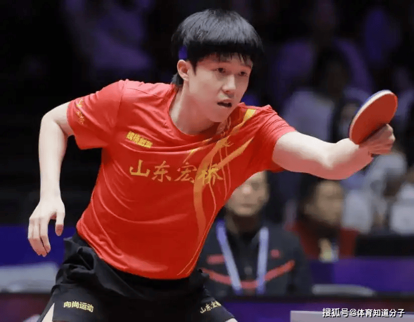 体育山东省举摔柔运动管理中心党总支召开党员大会