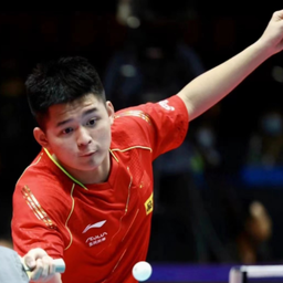 更多是它所 更多是它所