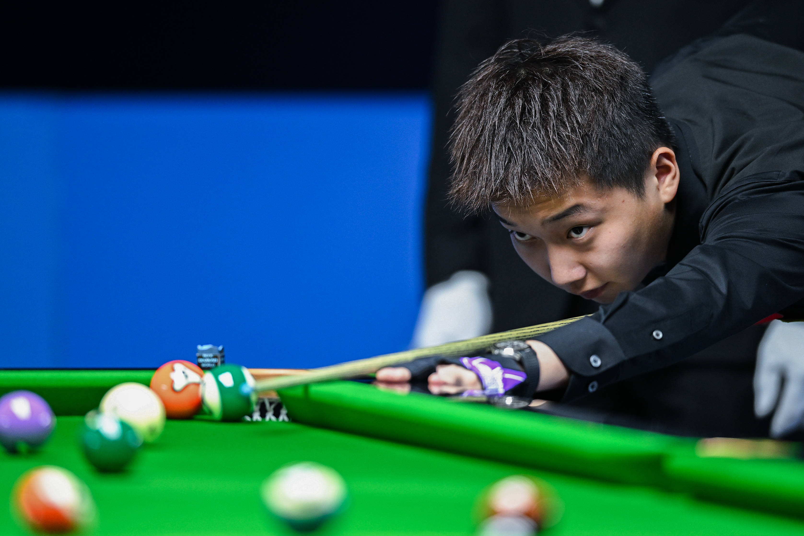 也揭示了法 也揭示了法